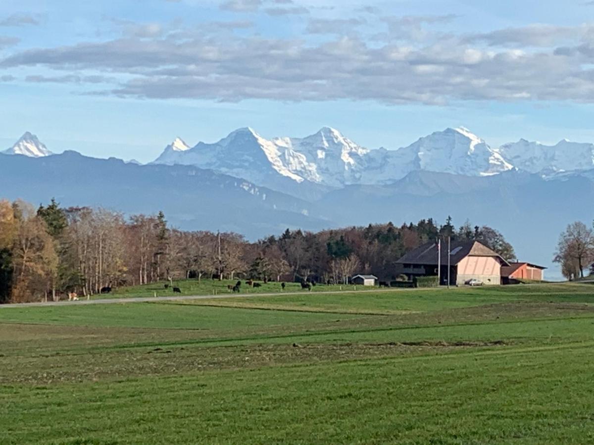 Mountain Home - Ein Aufenthalt Mit Weitblick Niedermuhlern Buitenkant foto